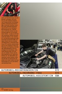 Automobil-Mechatroniker/in EFZ, Automobil-Fachmann/-frau EFZ, Automobil-Assistent/in EBA