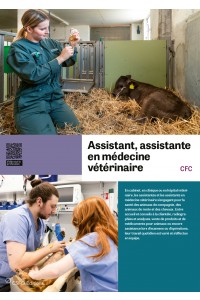 Assistant/e en médecine vétérinaire