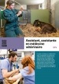 Assistant/e en médecine vétérinaire